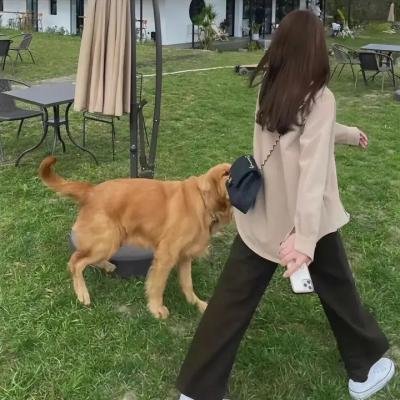 灵域第一季